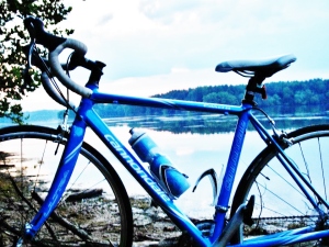 bike blue